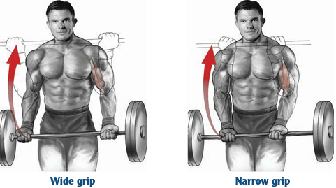 Deciding between the narrow and wide grip depends on your target muscle