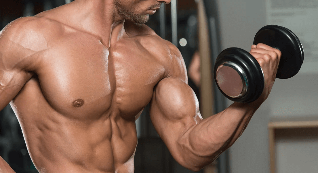 For biceps you will need dumbbell, preacher, and bar curls