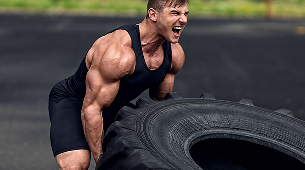 The drive from preworkout will enable you burst past your limits