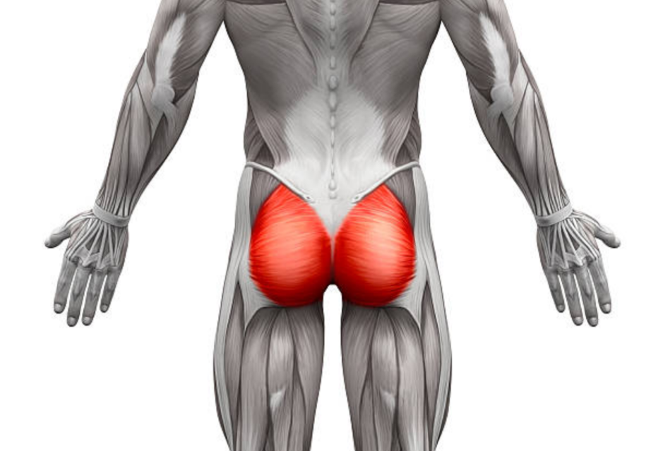 This is also one of the best workouts for the glutes
