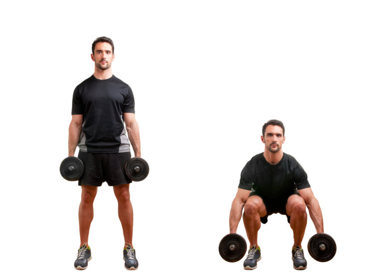 Hack Squat Alternative The 8 Best Substitute Exercises FitLifeFanatics