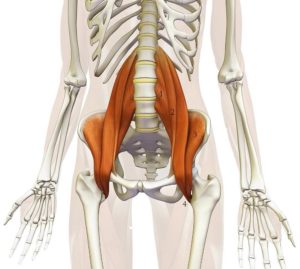how many sit ups should i do a day to work the iliopsoas muscles