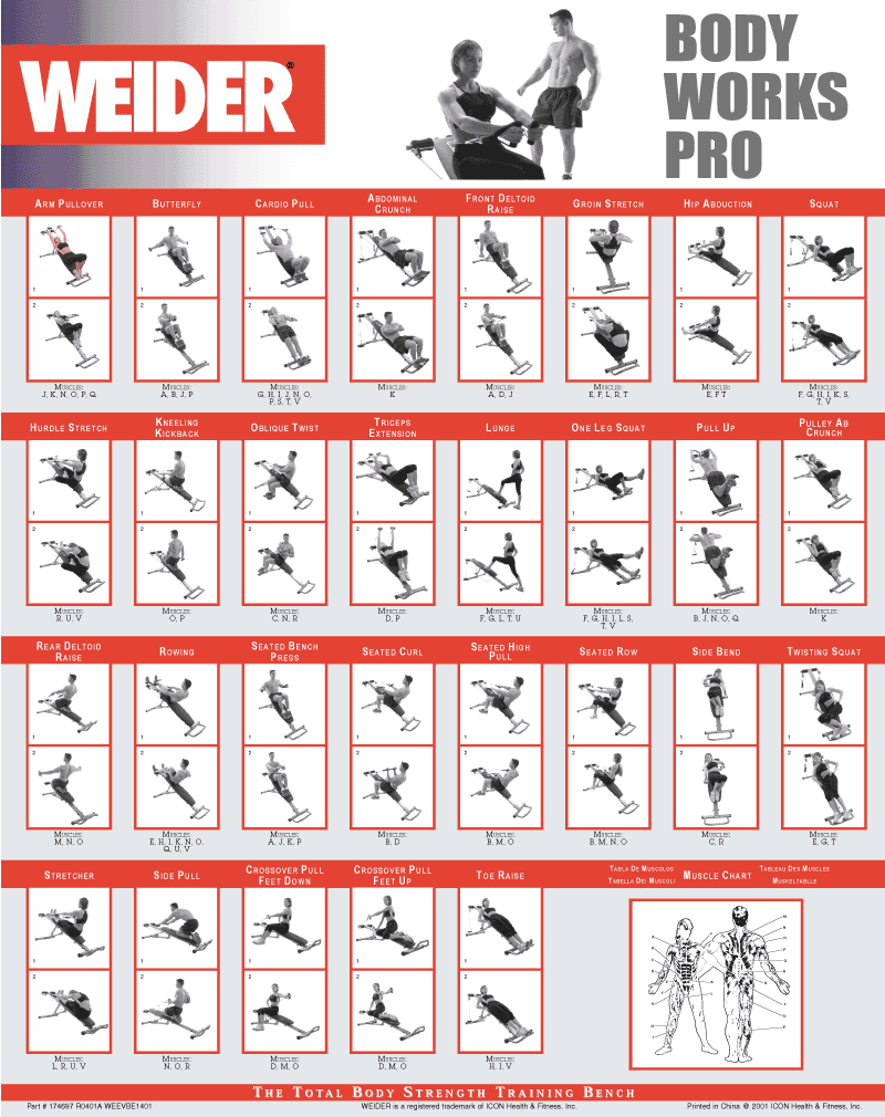 Weider Ultimate body works exercises chart