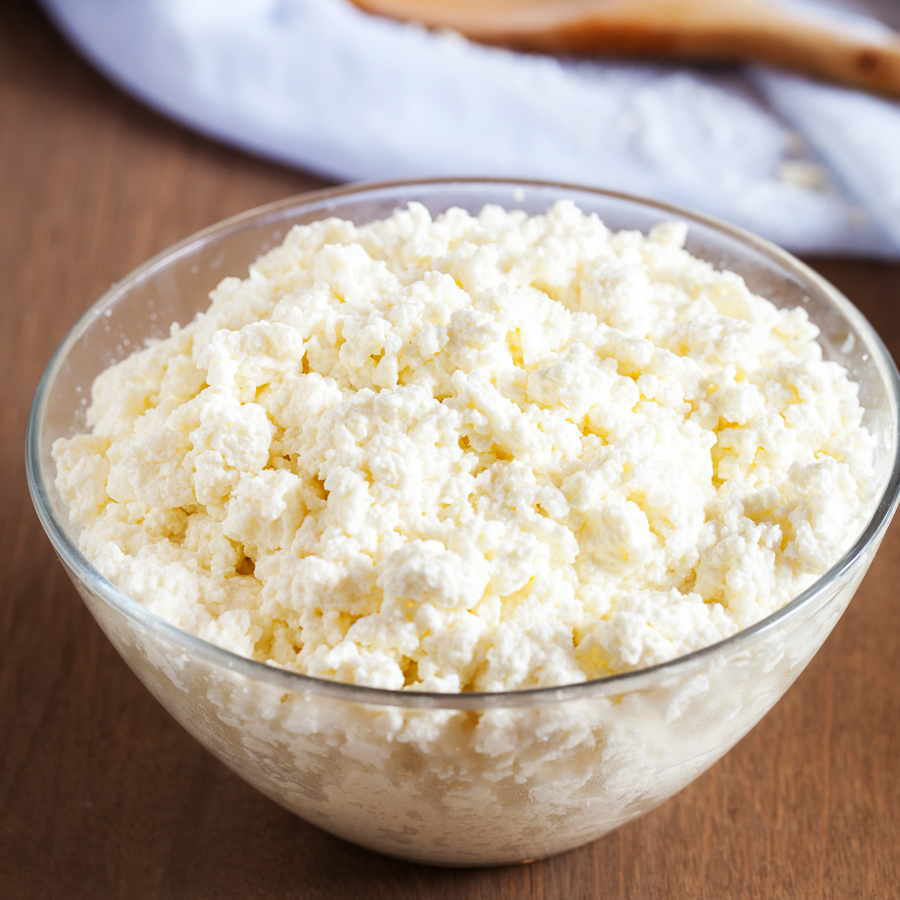 what is ricotta cheese