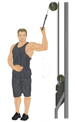 Standing Oblique Cable Crunches