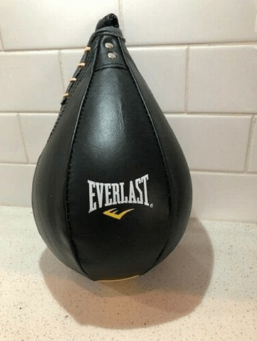 Everlast Speed Bag - Best Speed Bags for Apartments