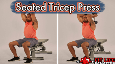 Seated Tricep Press