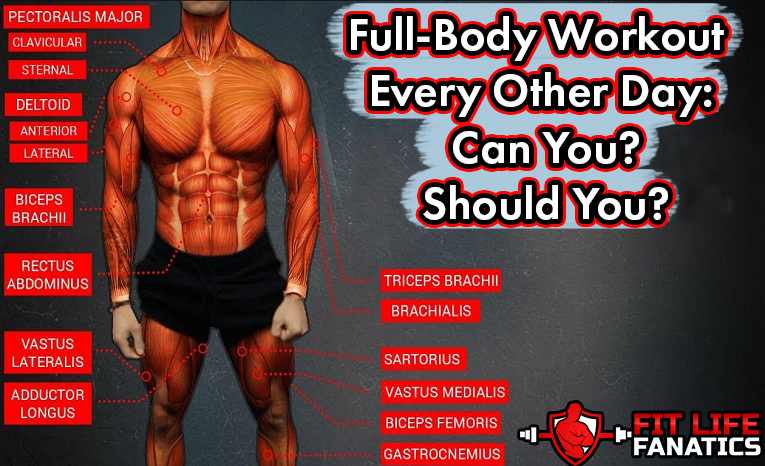 Full Body Workout Every Other Day Can You Should You Which Is Best