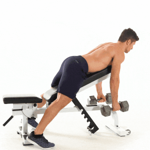 Chest Supported Dumbbell Rows are great as an alternative to the T Bar workout