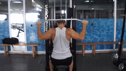 Lat Pull Downs are a great alternative to the Australian Pull-Up exercise