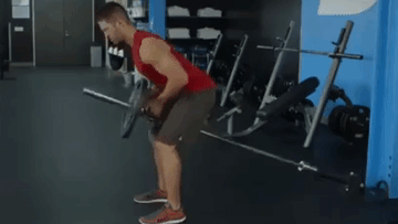 The T Bar Row Exercise Performed Using a A Landmine Unit