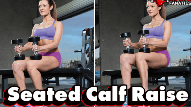 Seated Calf Raise Exercise Guide – How to, Muscles Worked, Variations, Alternative Exercises
