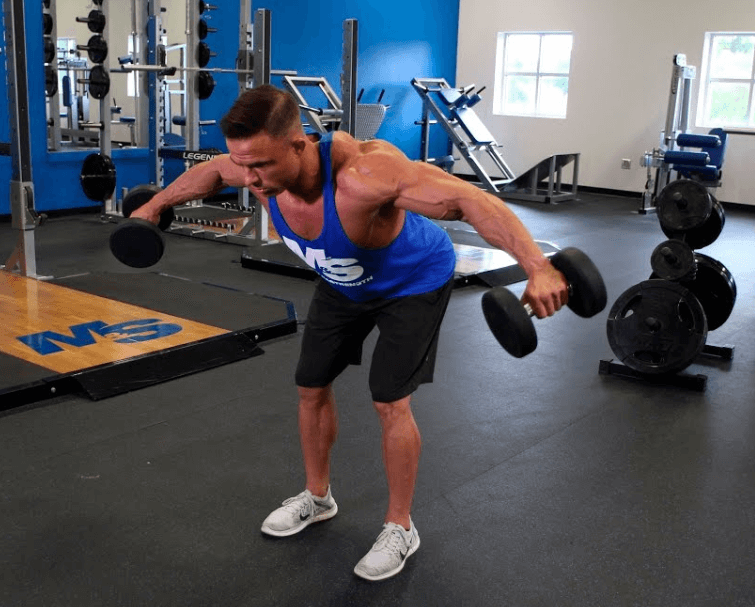 Performing the reverse fly is rather easy and straightforward with a pair of dumbbells on each hand