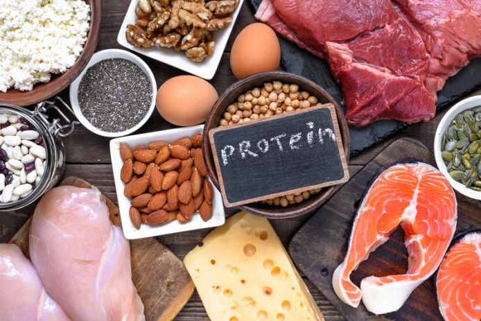 The type of protein in the ingredient label could make all the difference when it comes to price