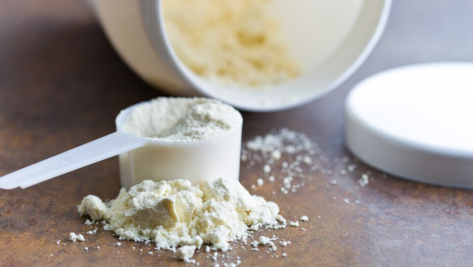 What actually makes protein powders stand out is the ingredients that they are made of