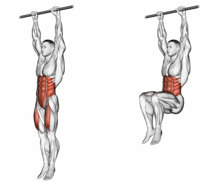 The hanging leg raise is great for working your internal obliques, forearms, external obliques, iliopsoas and rectus abdominis muscles