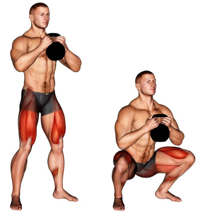Muscle worked by the goblet squat