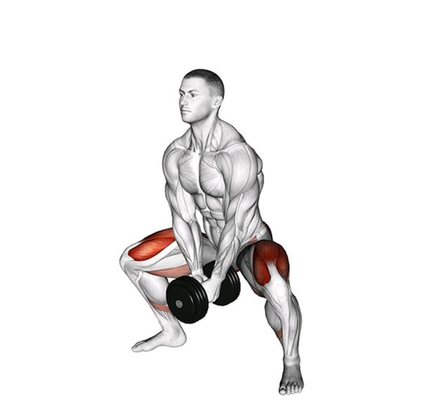 Muscles worked by the sumo squat