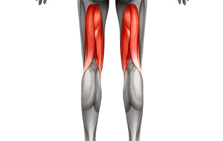 The hamstring is located to the back of your thigh and is the muscle responsible for knee flexion