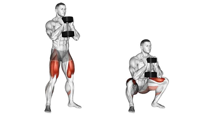 Goblet squat vs. Sumo squat, which one works which muscles