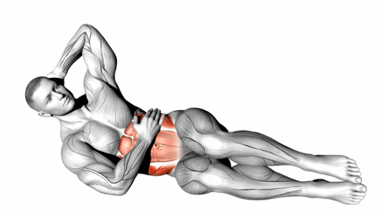 What muscles do oblique crunches work