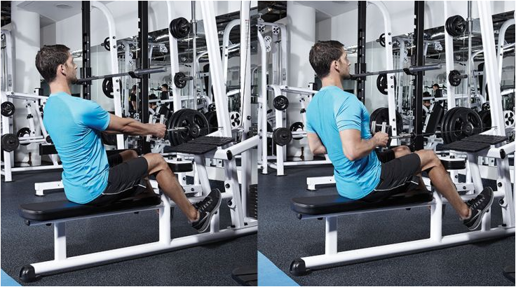 Beginners can go with the seated row as it is easy to start with compared to a seated cable row