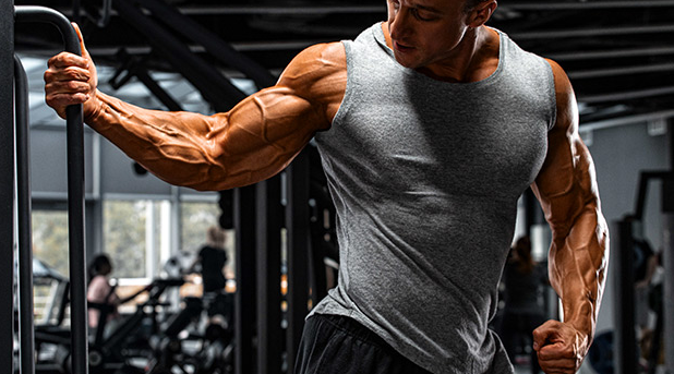Deciding which of these exercises you should use to build biceps boils down to your anatomy and desired results