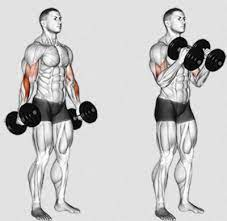 Each of these exercises works several muscles, although you can work some of the same muscles with the different workouts