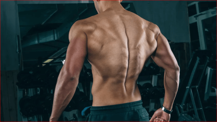 Pull ups strengthen and tighten the back muscles, which eventually improve your core