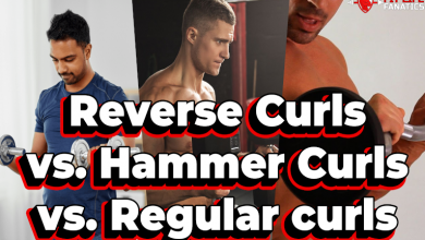 Reverse Curls vs Hammer Curls vs Regular curls