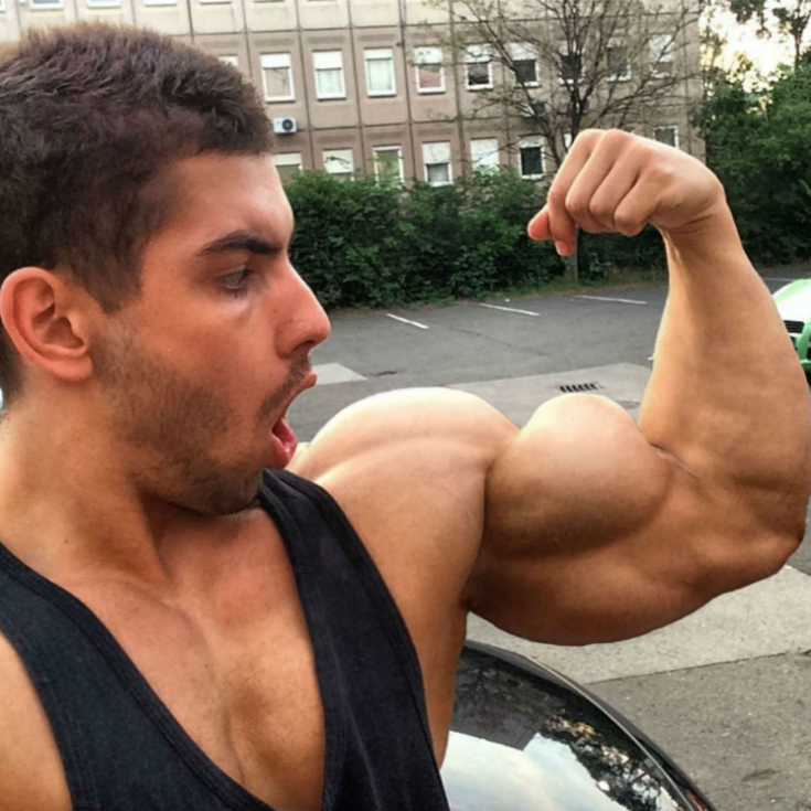 The best way to shock your biceps to growth is the use of several workouts