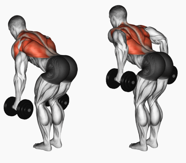 There are also dumbbell exercises that you can use to hit your lat muscles