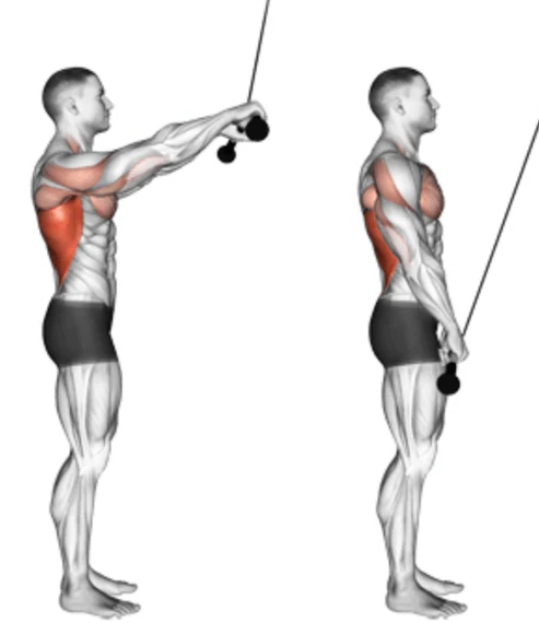 There are several exercises that you can do to work your lat muscles