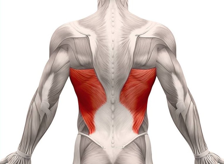 While you can isolate one of these muscles, the best way is to work each one of them