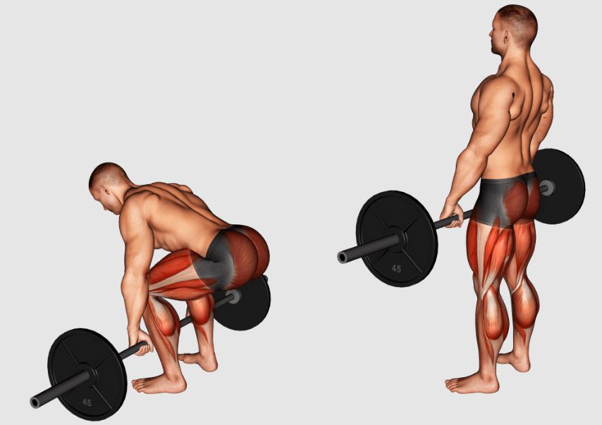 Deadlifts work everything from glutes, quads, core and several others