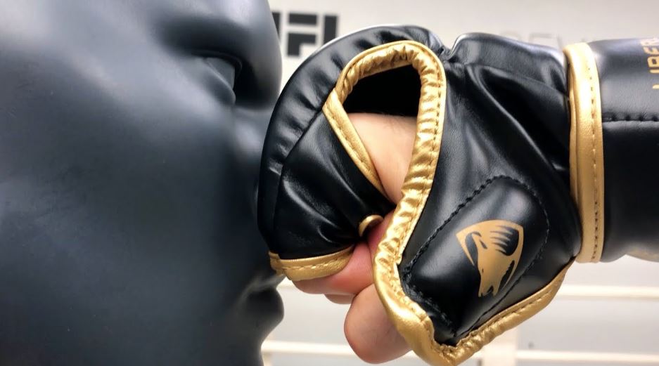 Here are some of the best choices of gloves for heavy bag training
