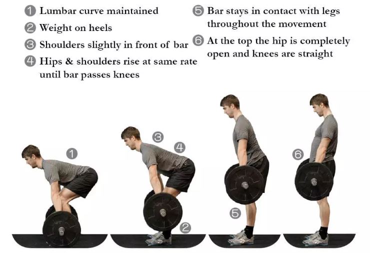 Here is everything you need to know about performing deadlifts